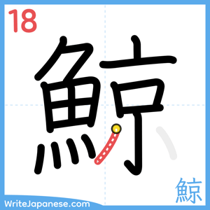 How to write "鯨" - stroke 18