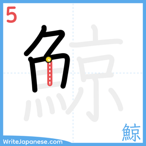How to write "鯨" - stroke 5