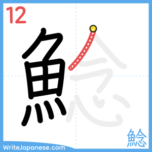 How to write "鯰" - stroke 12
