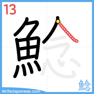 How to write "鯰" - stroke 13