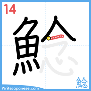 How to write "鯰" - stroke 14