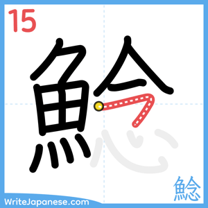 How to write "鯰" - stroke 15