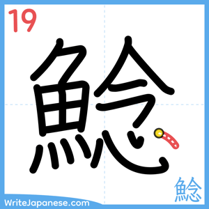 How to write "鯰" - stroke 19