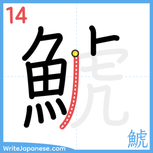 How to write "鯱" - stroke 14