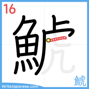How to write "鯱" - stroke 16