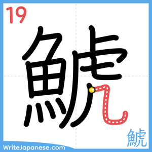 How to write "鯱" - stroke 19