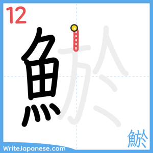 How to write "鯲" - stroke 12