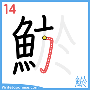 How to write "鯲" - stroke 14