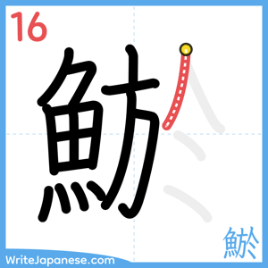 How to write "鯲" - stroke 16