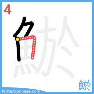 How to write "鯲" - stroke 4