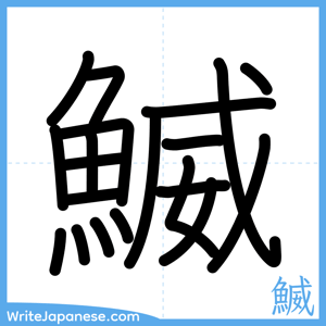 How to write "鰄" - complete stroke order