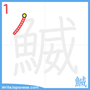 How to write "鰄" - stroke 1