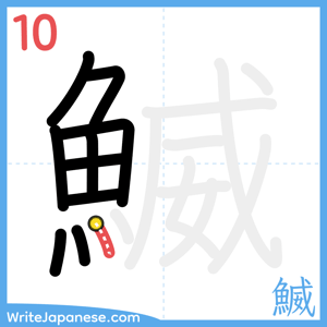 How to write "鰄" - stroke 10