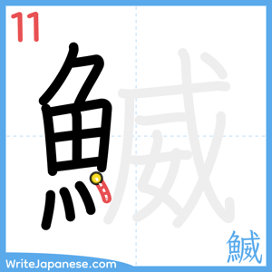 How to write "鰄" - stroke 11