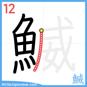How to write "鰄" - stroke 12