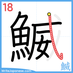 How to write "鰄" - stroke 18