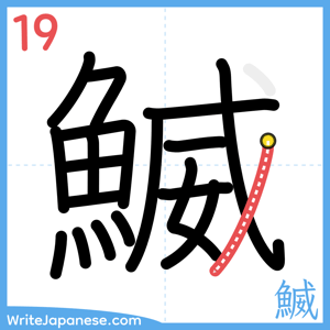 How to write "鰄" - stroke 19