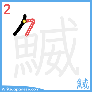 How to write "鰄" - stroke 2