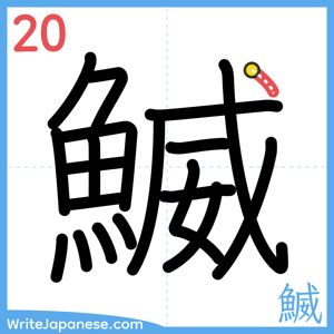 How to write "鰄" - stroke 20