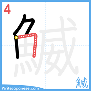 How to write "鰄" - stroke 4