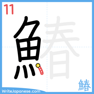 How to write "鰆" - stroke 11