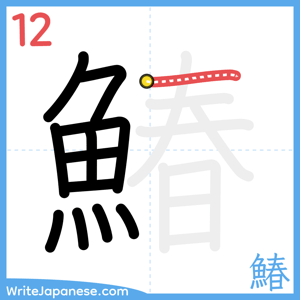 How to write "鰆" - stroke 12