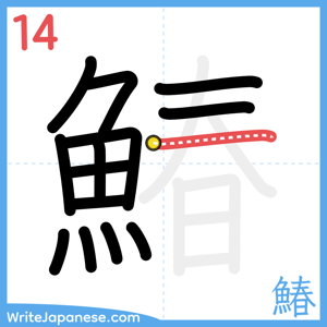 How to write "鰆" - stroke 14