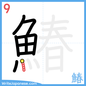 How to write "鰆" - stroke 9