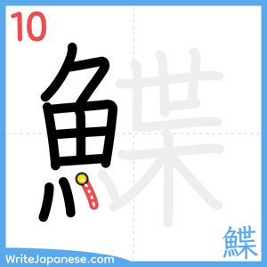 How to write "鰈" - stroke 10