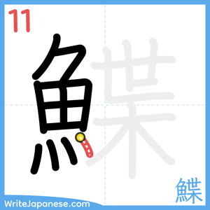 How to write "鰈" - stroke 11