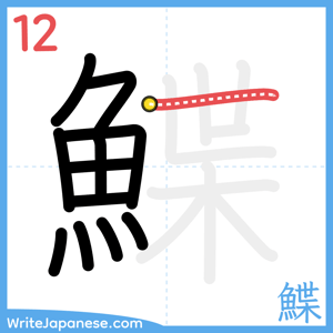 How to write "鰈" - stroke 12
