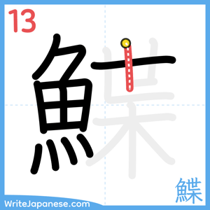 How to write "鰈" - stroke 13