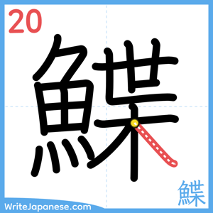 How to write "鰈" - stroke 20