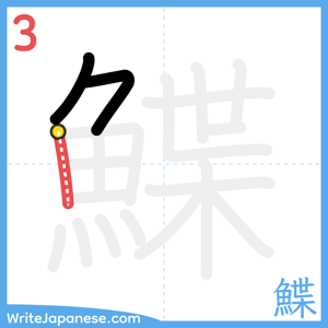 How to write "鰈" - stroke 3