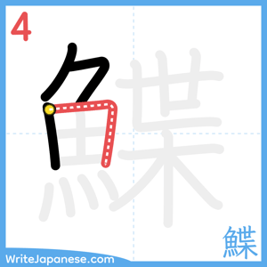 How to write "鰈" - stroke 4