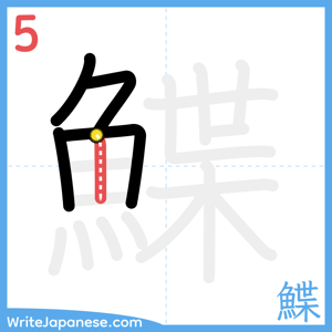 How to write "鰈" - stroke 5