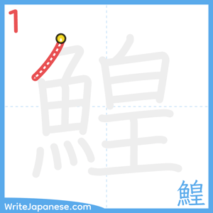 How to write "鰉" - stroke 1