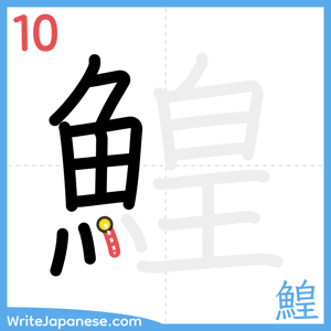 How to write "鰉" - stroke 10