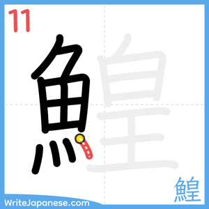 How to write "鰉" - stroke 11