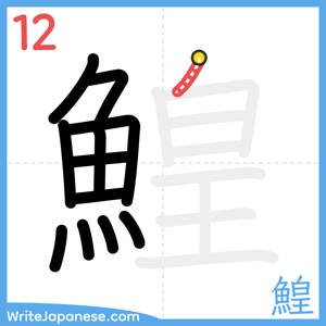 How to write "鰉" - stroke 12