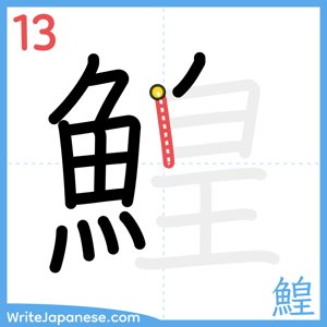 How to write "鰉" - stroke 13