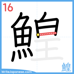 How to write "鰉" - stroke 16