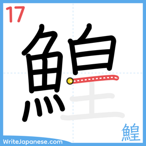 How to write "鰉" - stroke 17