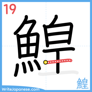 How to write "鰉" - stroke 19