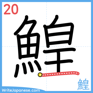 How to write "鰉" - stroke 20