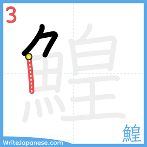 How to write "鰉" - stroke 3