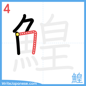 How to write "鰉" - stroke 4