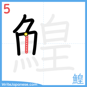 How to write "鰉" - stroke 5