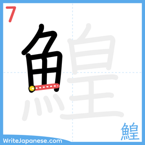 How to write "鰉" - stroke 7