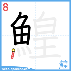 How to write "鰉" - stroke 8